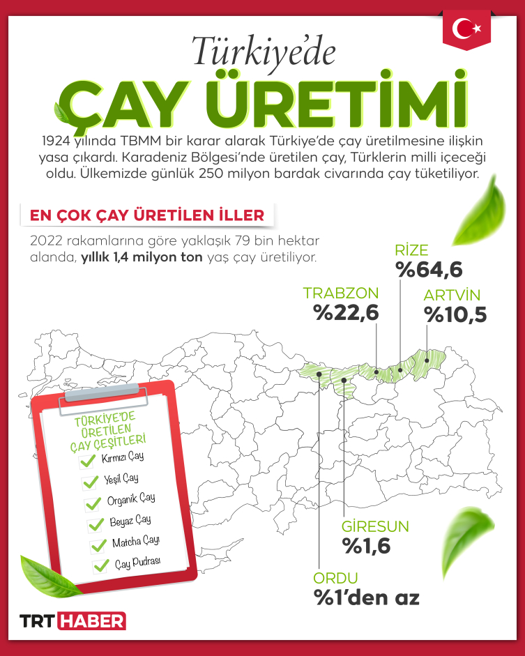 Türkiye'nin vazgeçilmez içeceği çayın 100 yıllık hikayesi